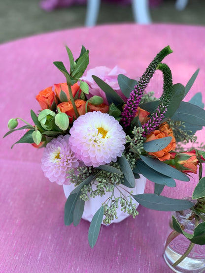 Polo Blooms